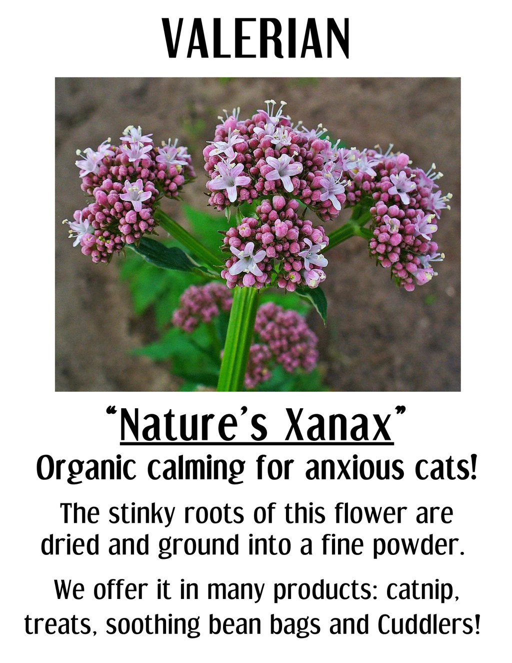 Calming Valerian Cuddler