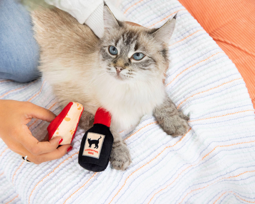 Cheese and Wine Cat Toys
