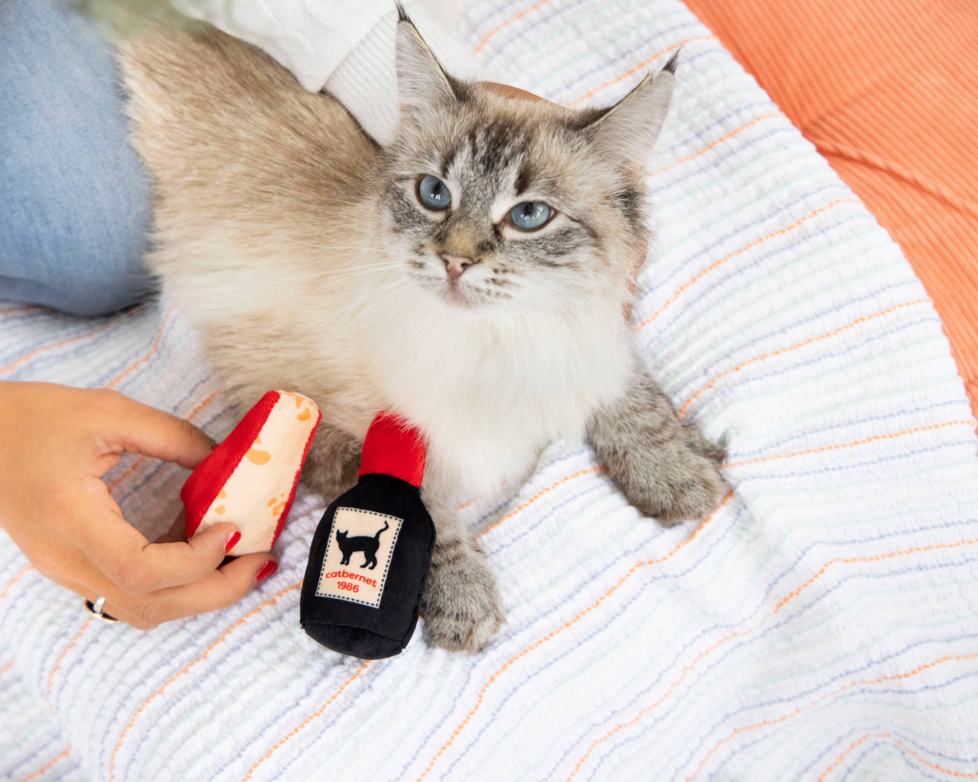 Cheese and Wine Cat Toys