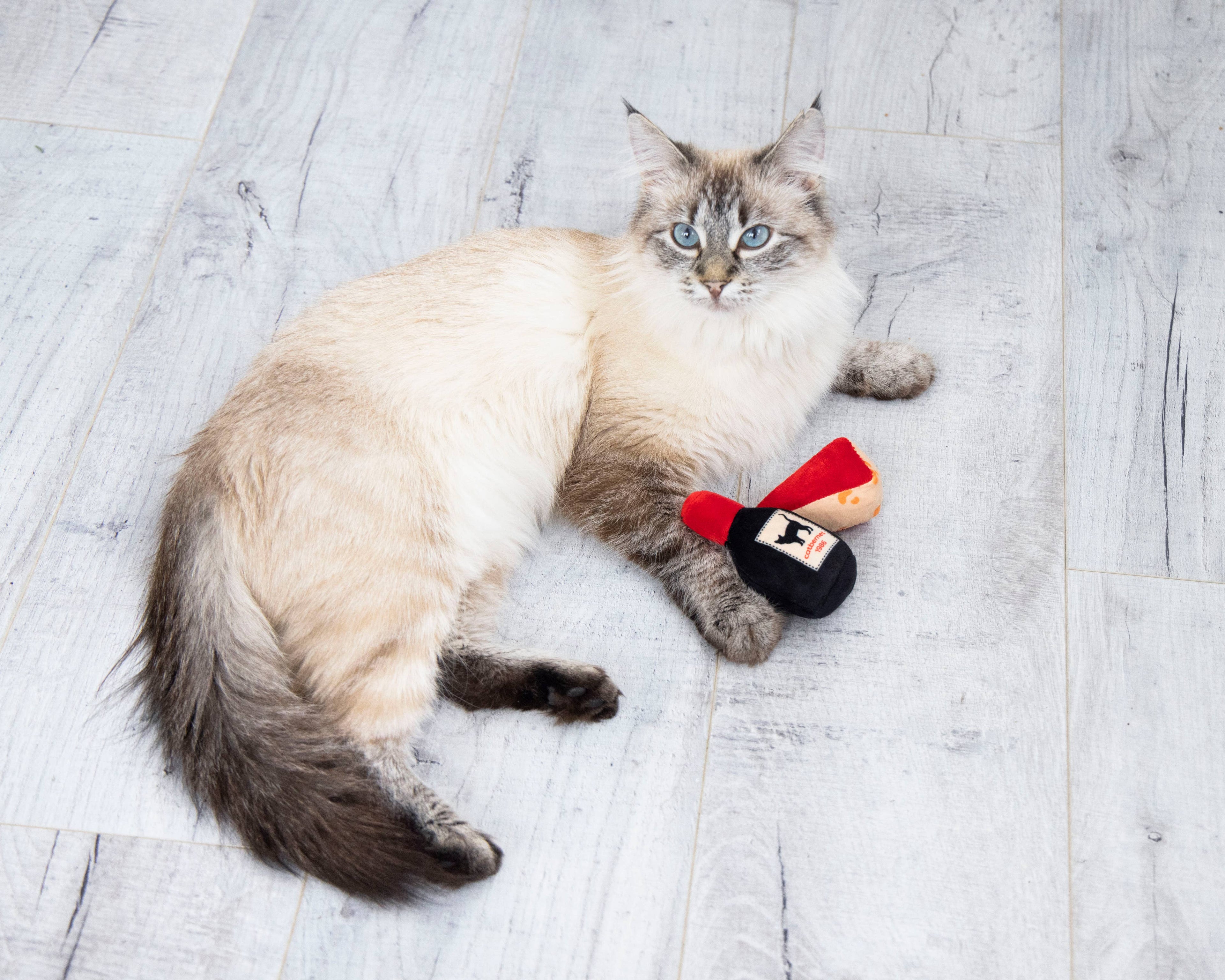 Cheese and Wine Cat Toys