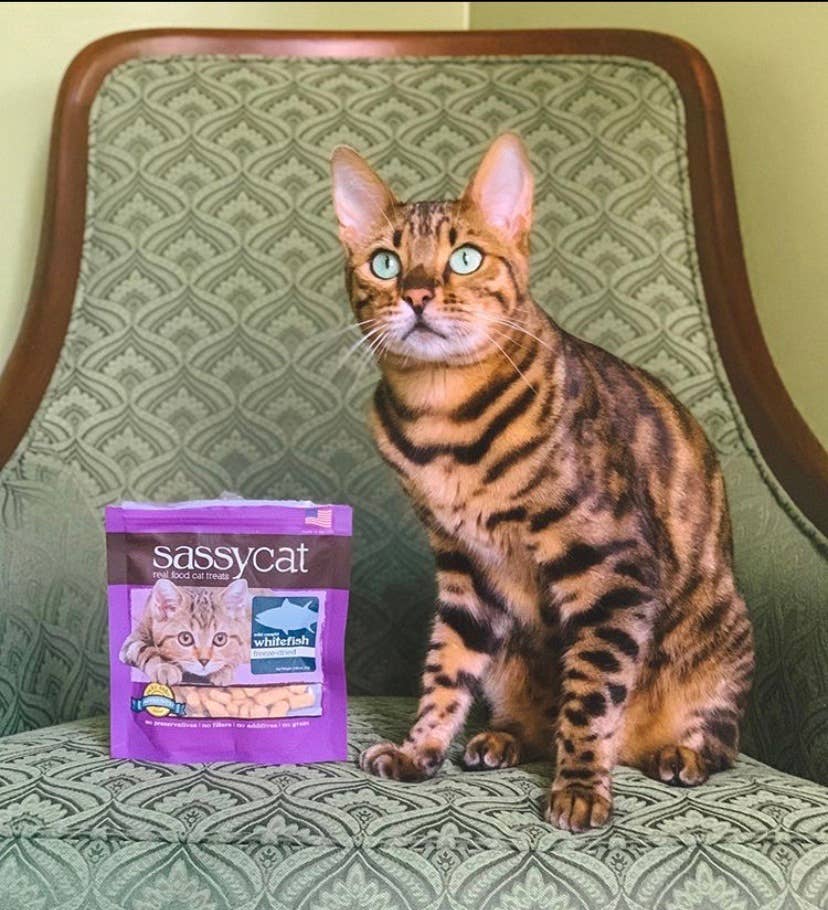 Sassy Cat Freeze Dried Treats
