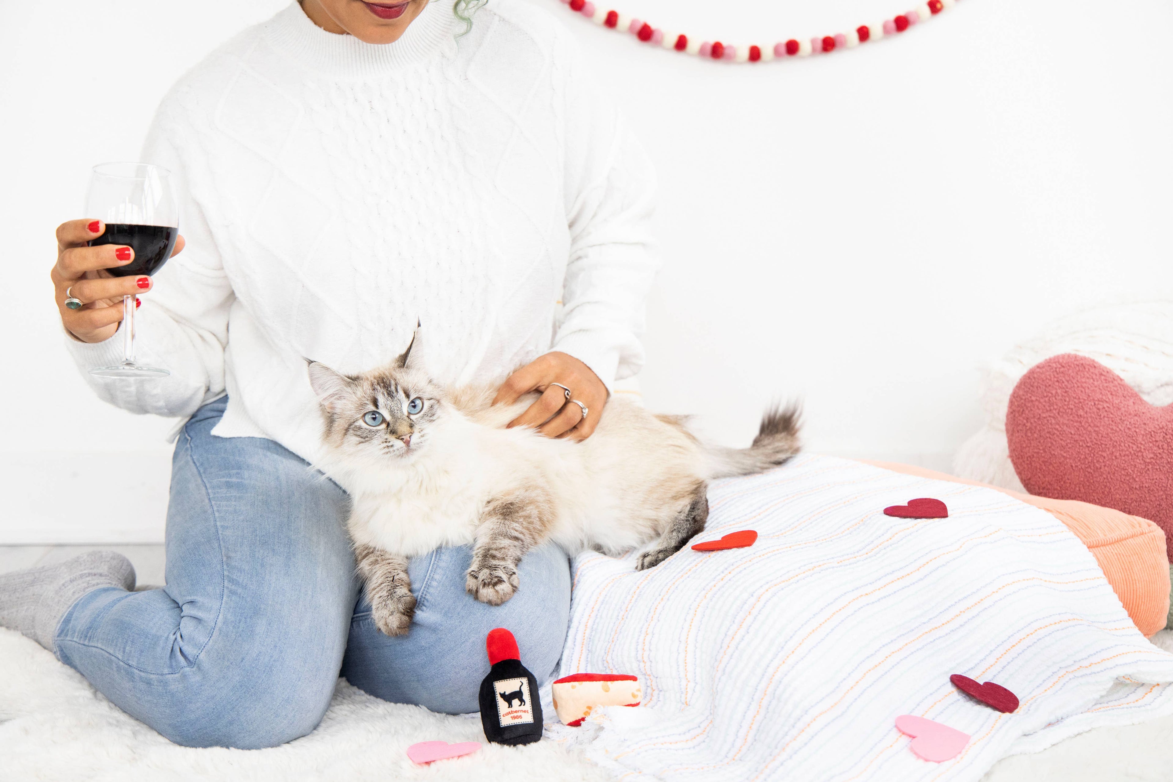 Cheese and Wine Cat Toys