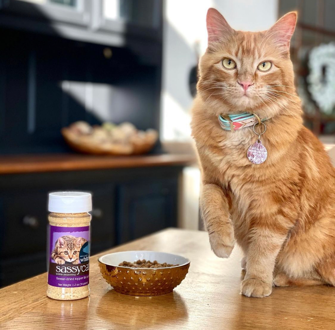 Sassy Cat Kibble Seasoning