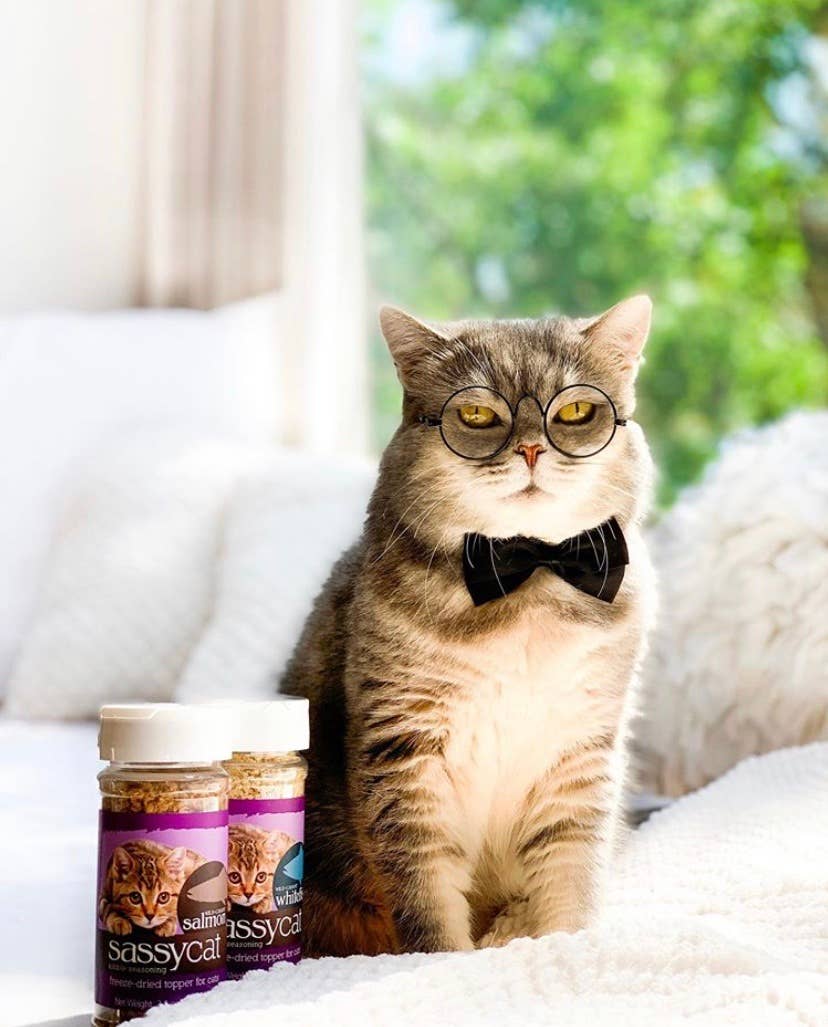 Sassy Cat Kibble Seasoning