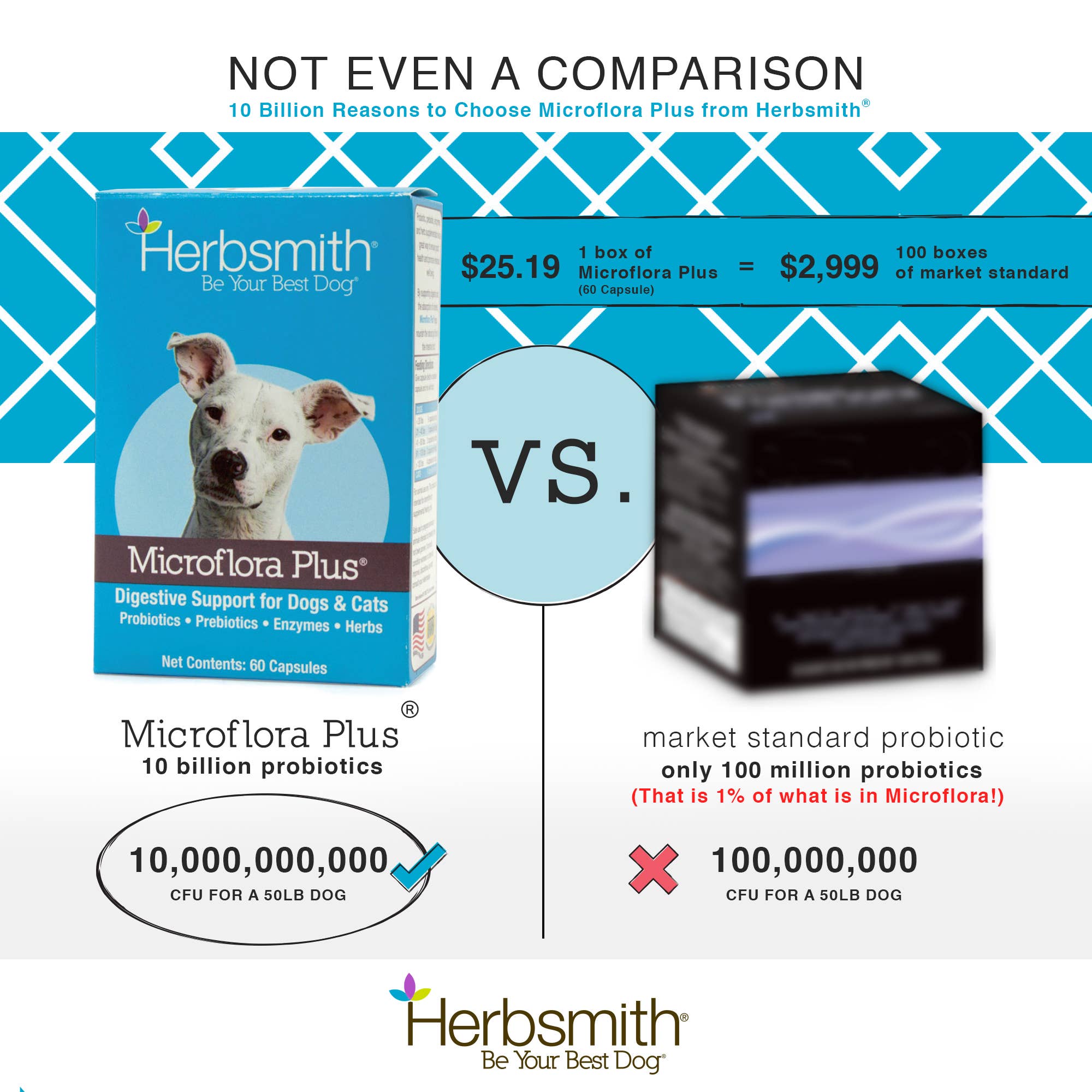 Microflora Plus - Digestive Aid for Cats