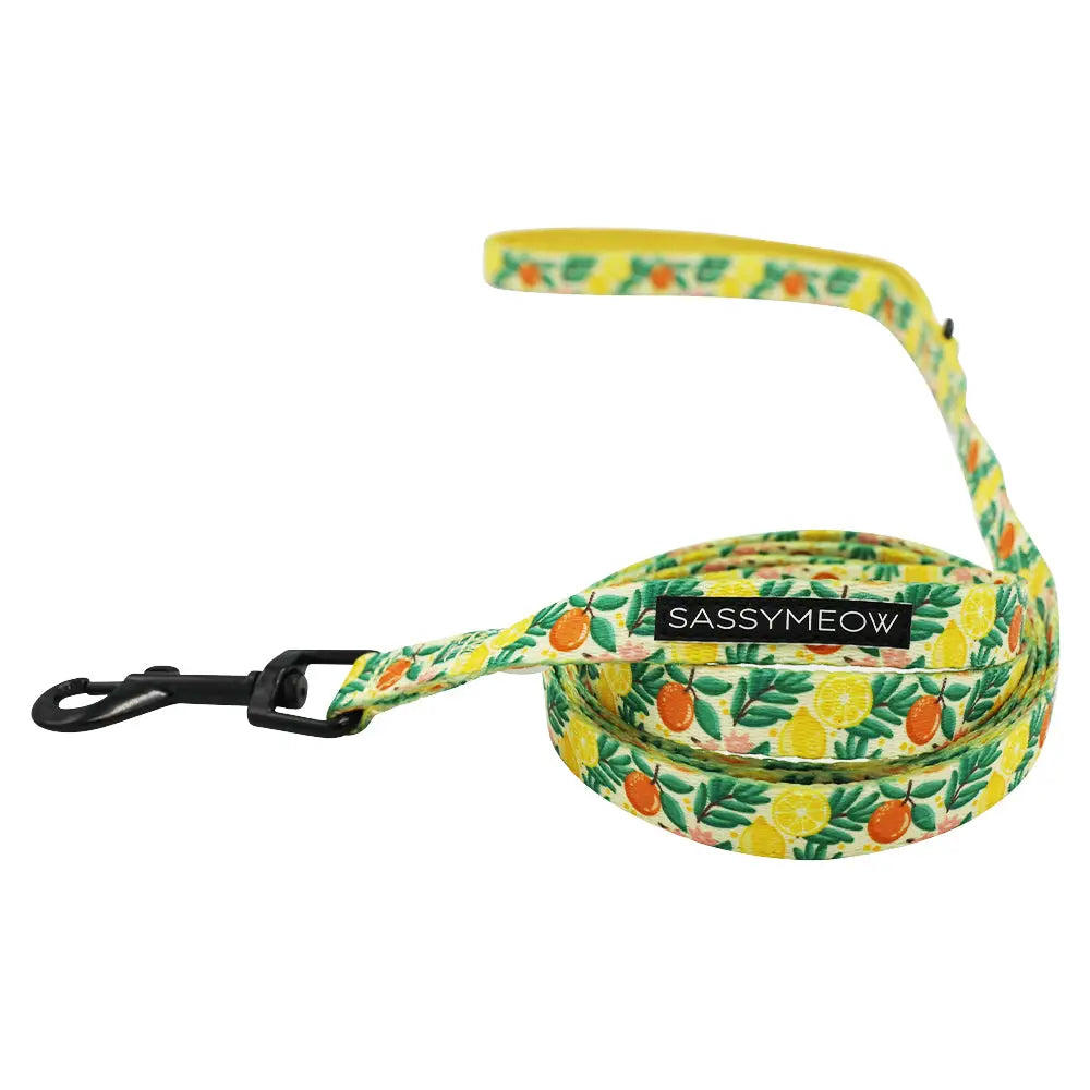 Leash - Zest Friends