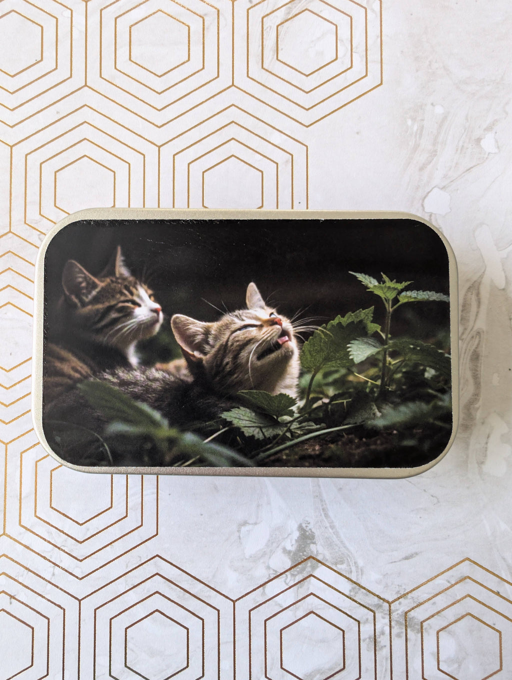 Catnipporium - Catnip Tin