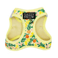 Cat Step-in Harness-Zest Friends