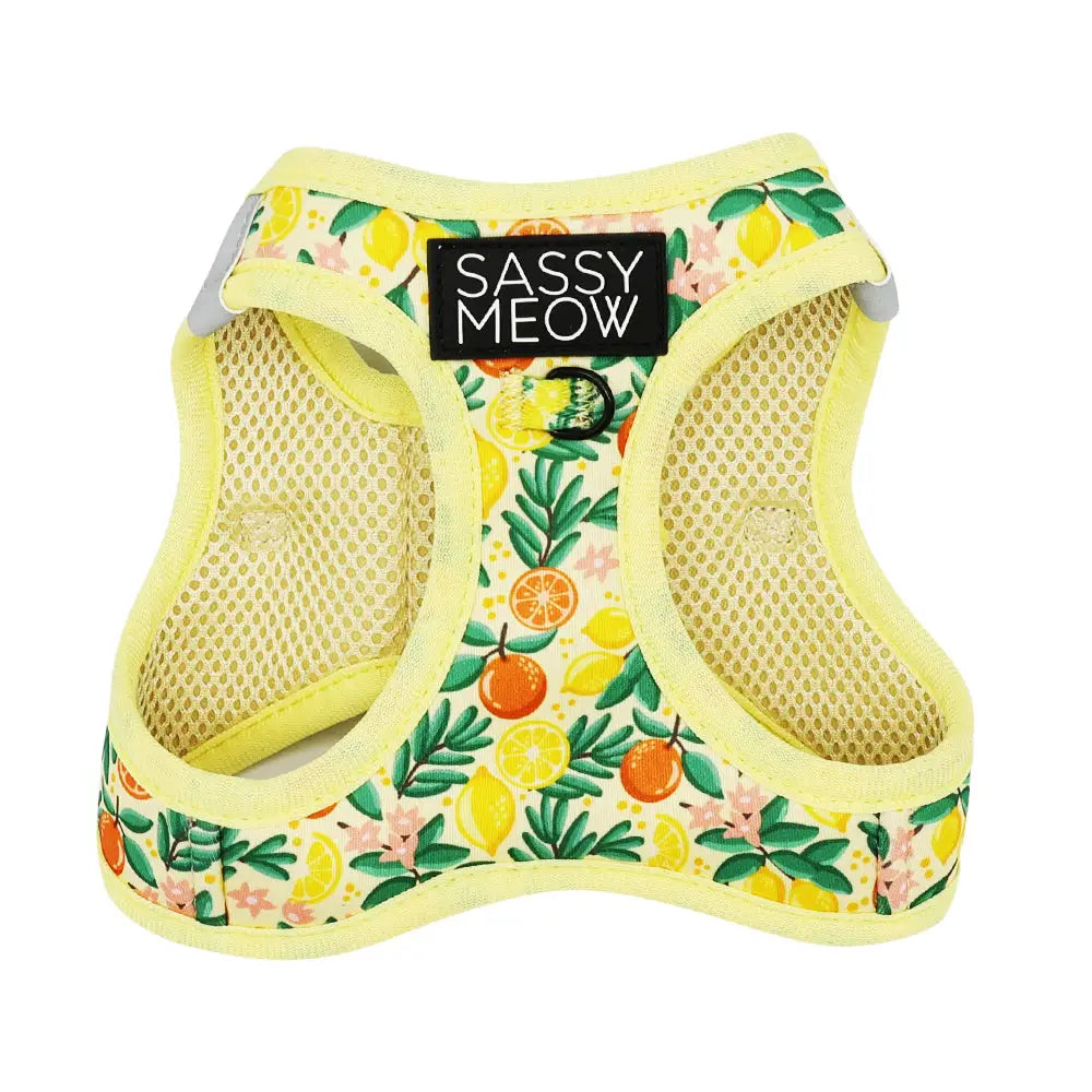 Cat Step-in Harness-Zest Friends
