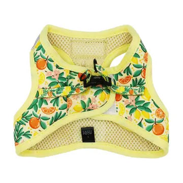 Cat Step-in Harness-Zest Friends
