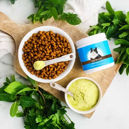 Cat Breath Dental Support