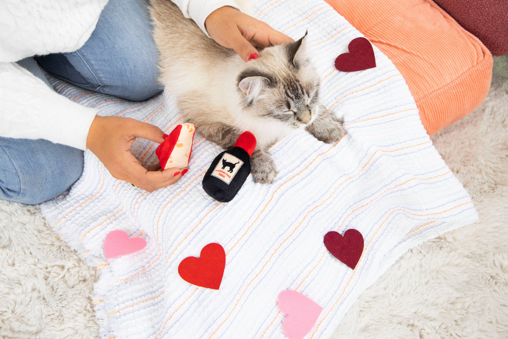 Cheese and Wine Cat Toys