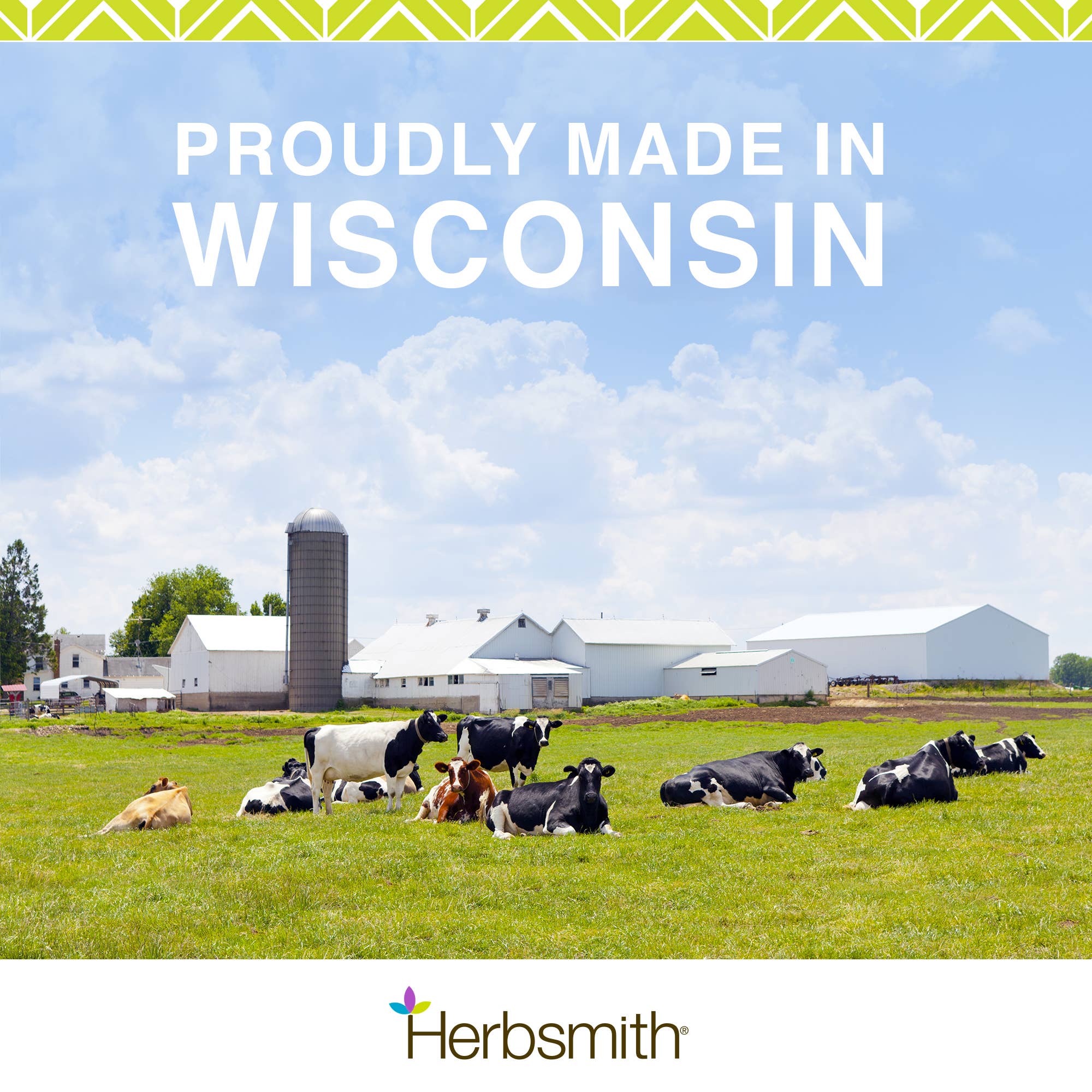 Sassy Cat Kibble Seasoning