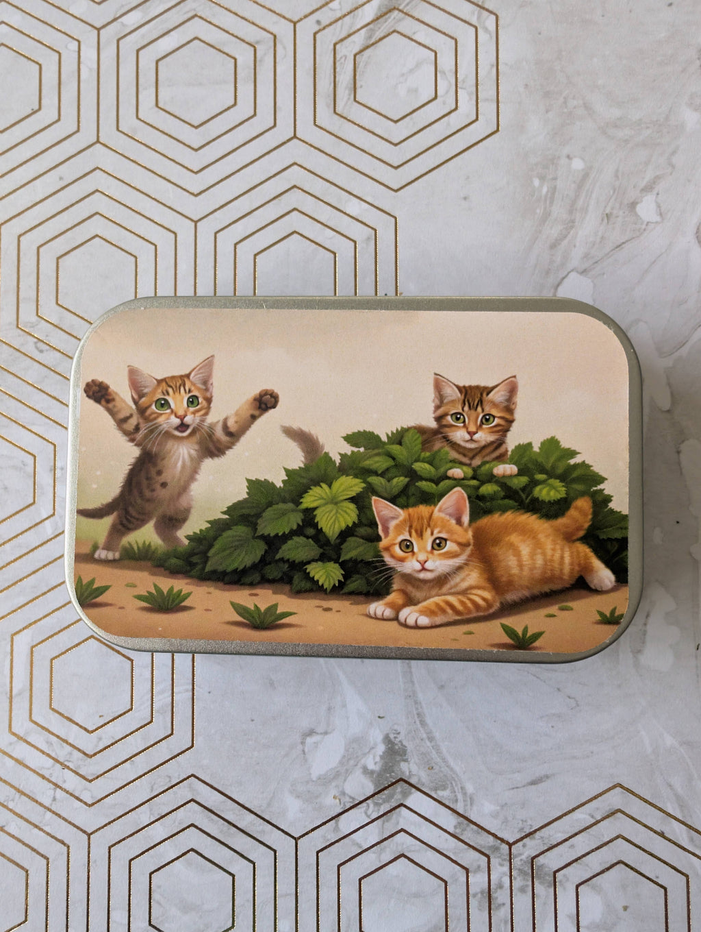 Catnipporium - Catnip Tin