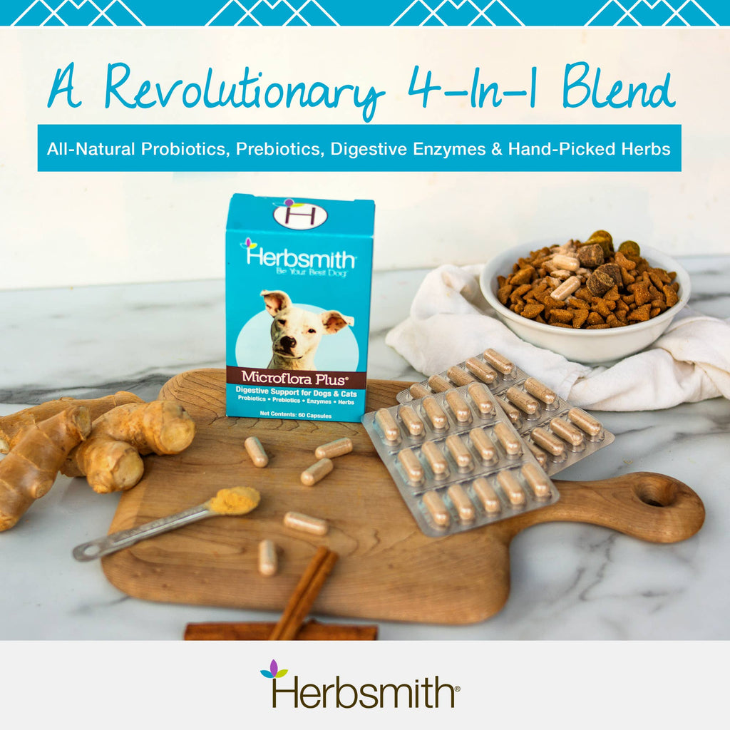 Microflora Plus - Digestive Aid for Dogs
