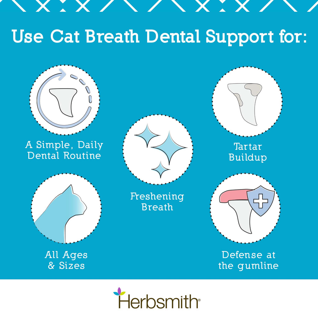 Cat Breath Dental Support