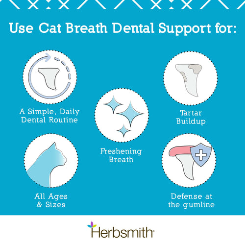 Cat Breath Dental Support