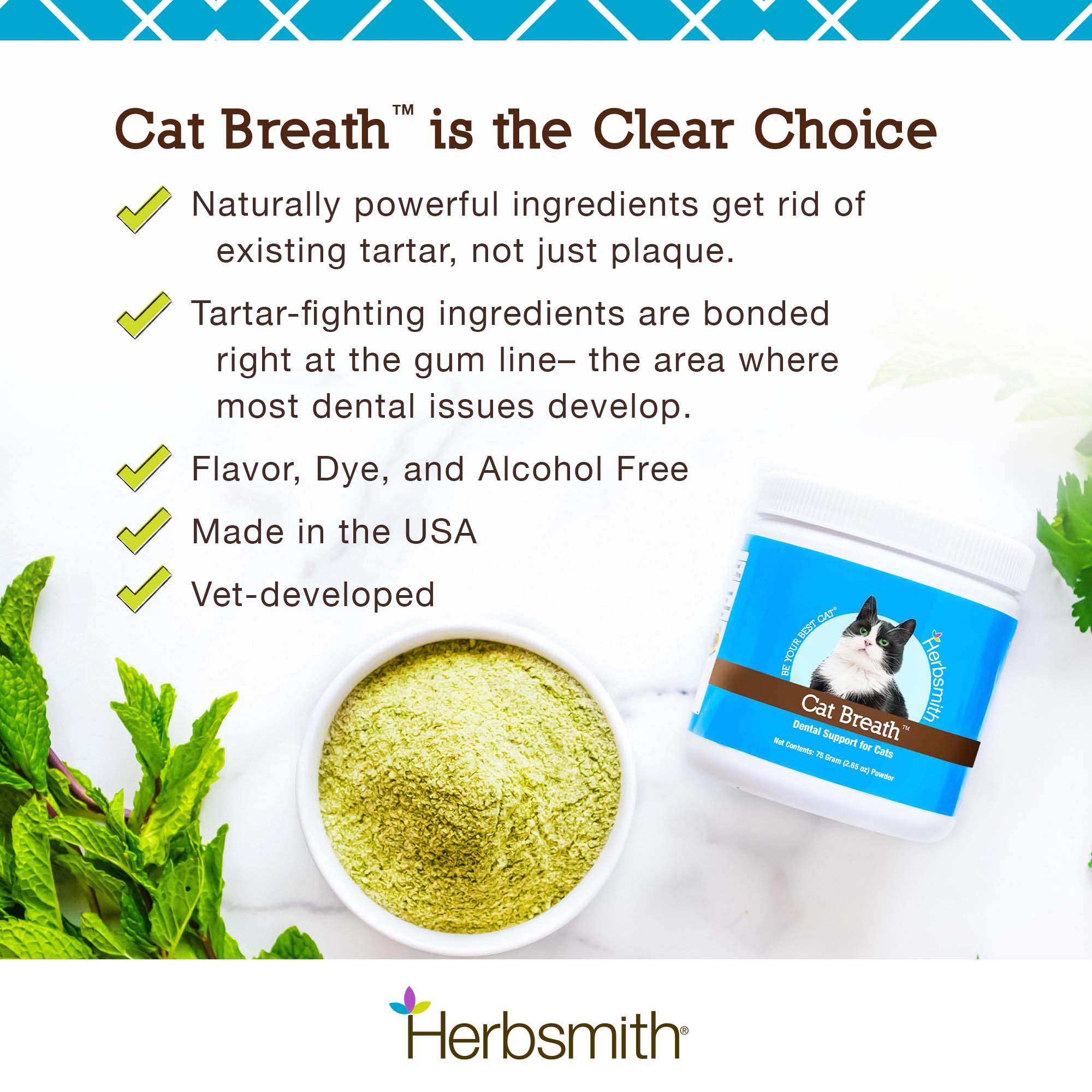 Cat Breath Dental Support
