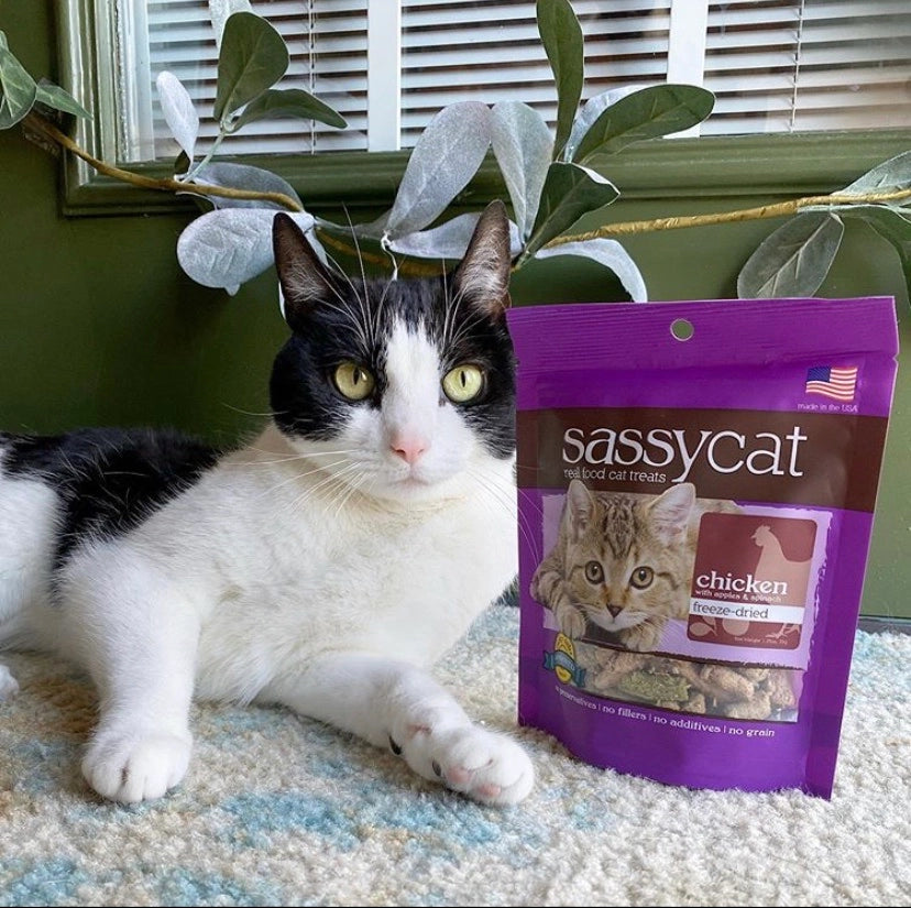 Sassy Cat Freeze Dried Treats