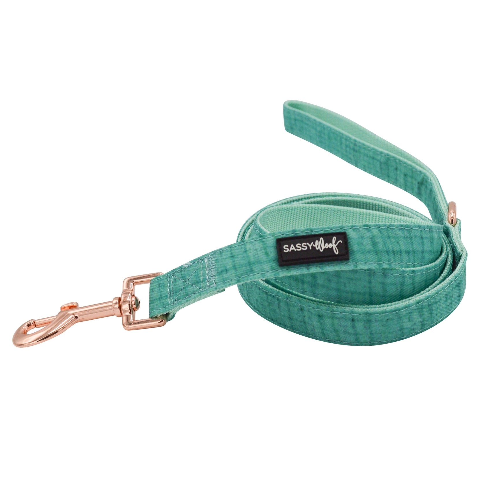 Dog Leash - Wag Your Teal