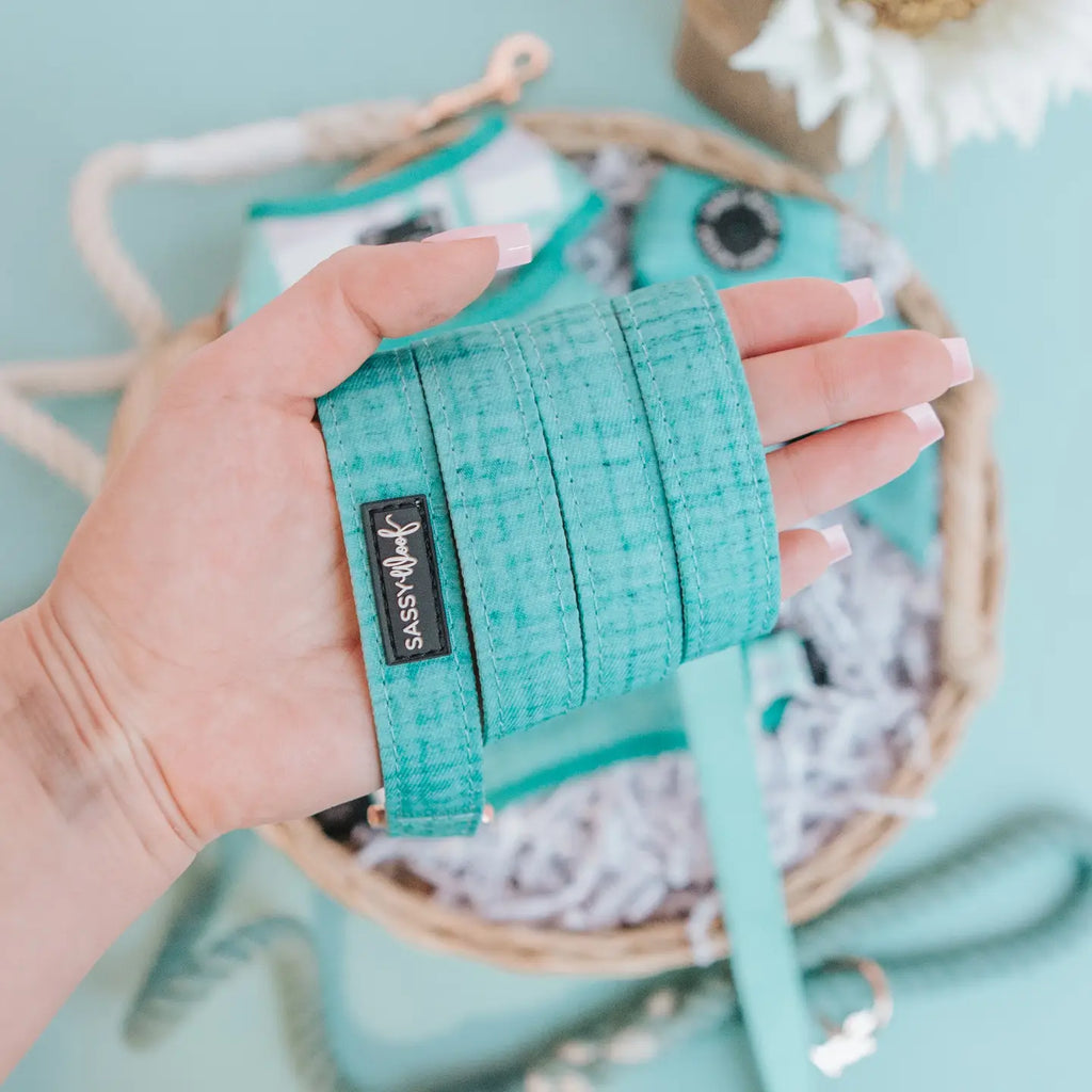 Dog Leash - Wag Your Teal